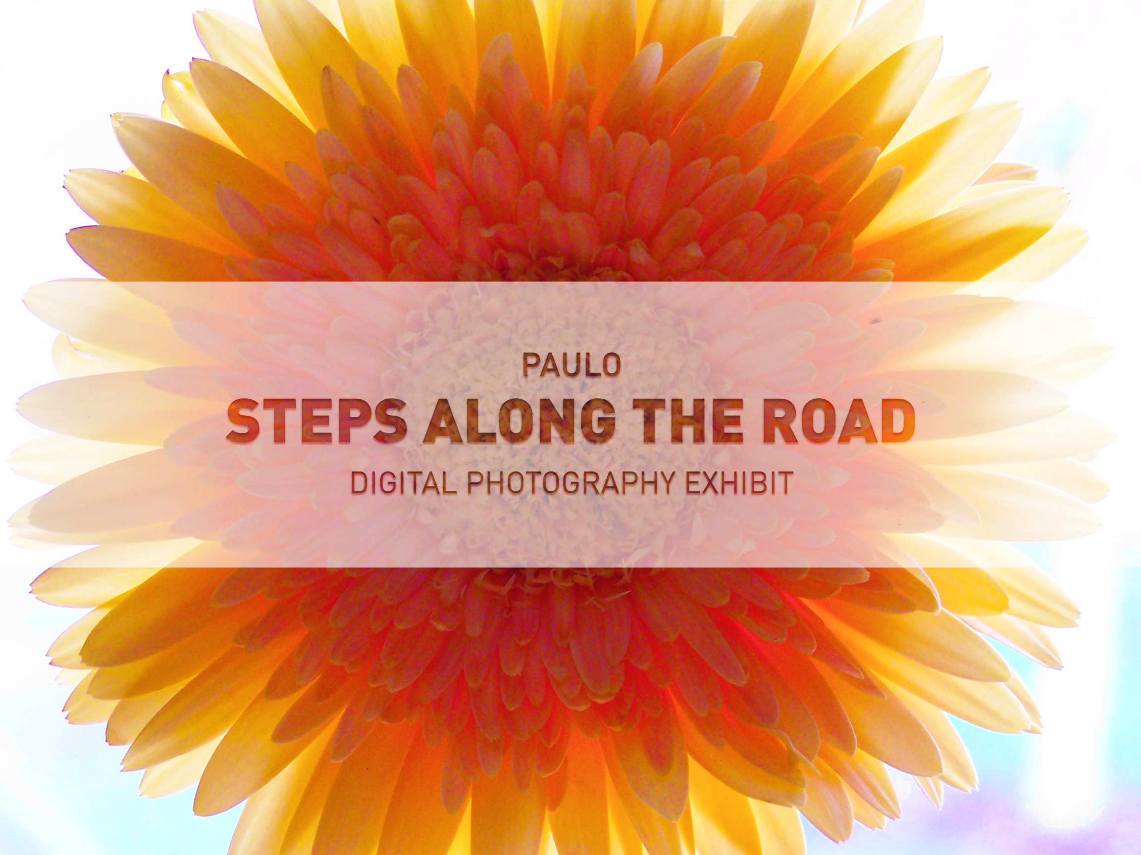 Brockton Presents: PAULO - Steps Along the Road